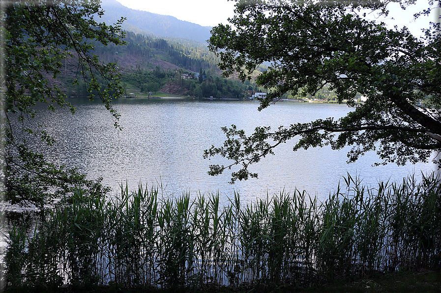 foto Lago della Serraia